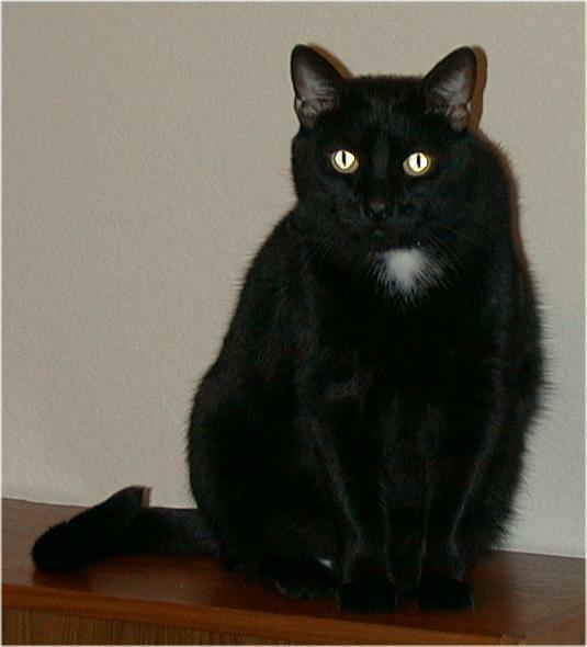 Caspian