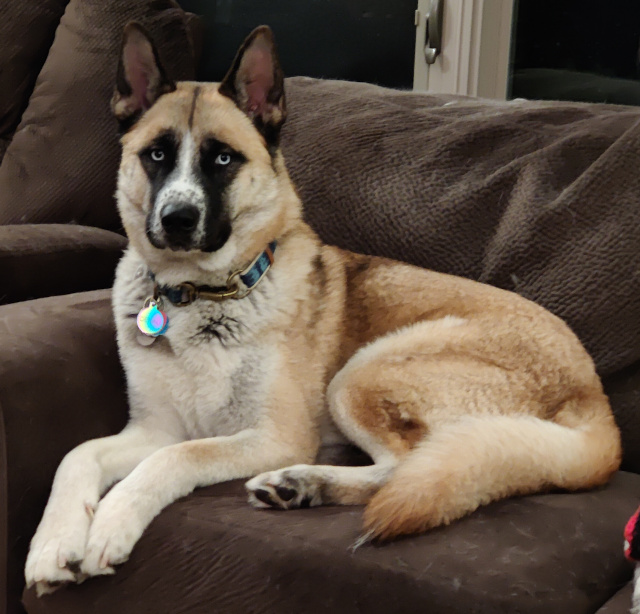 Denali