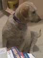Betty