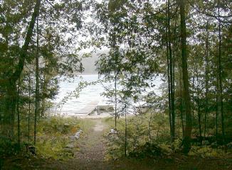 Lake from the Cottage